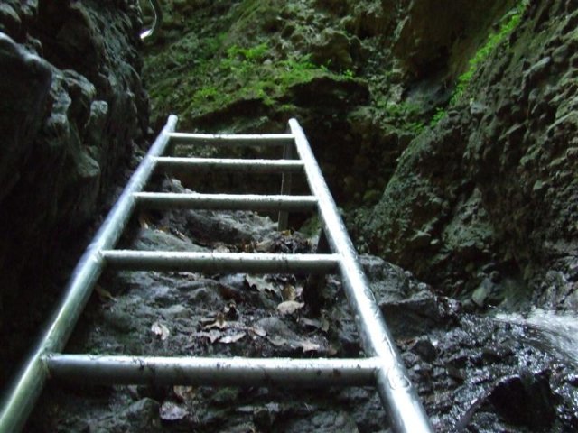 DSCF0168 (Medium)